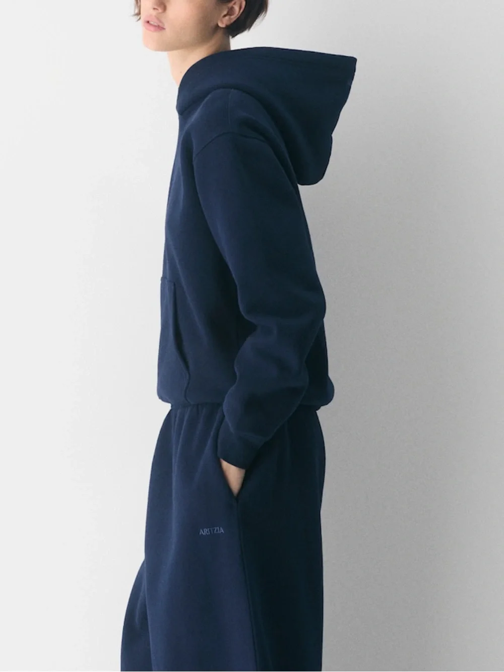 Aritizia cozy sweat fleece perfect hoodie
